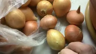 Что быстрее   Новый год или луковое перо. Делаем ставки.