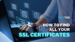 How to Monitor SSL Certificates with Certificate Transparency Logs
