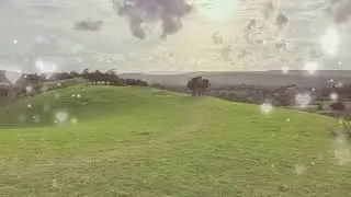 Halo nama saya akwila taulo