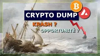 Analyse crypto Bitcoin / Avax - Krash ou opportunité ?