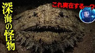[Deep-sea fish] Rare creatures spotted at Osezaki in spring! Reporting with a full-face mask 🎤