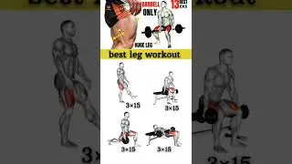 Get Bigger Leg 30 DAYS ! ( Home Workout )
