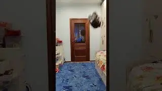 тот момент, конда мама счастлива больше сына 🥹 #интересно #cat #тренд #юмор #смешно #весело #анекдот
