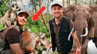 Becoming a ZOO KEEPER for 1 Day ft. David Rodriguez 🐘🐒🌴 *Pairi Daiza*