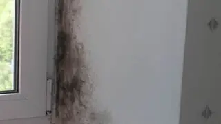 Пластиковые окна.РЕАНИМАЦИЯ.