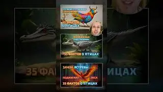 Сказочные животные и где они обитают – ИИ-сервис генерации изображений