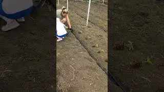 воспитание, приучаем детей к труду