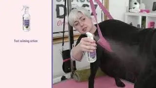Pet Remedy De-Stress & Grooming