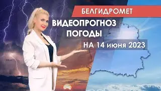 Видеопрогноз погоды по областным центрам Беларуси на 14 июня 2023 года