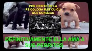 1er  mes aniversario.. SamDreitasrd