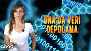 DNA Data Storage