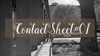 Contact Sheet #01 Film Photography Canon Canonet QL17 Kodak TriX