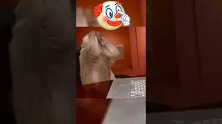 ЭТИ СКИНЫ 🔫 ИЗ  ОБНОВЛЕНИЯ ⛄РАЗРАБОТЧИКИ УКРАЛИ У САМИХ СЕБЯ 🤡 