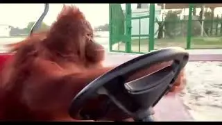 Super Genius