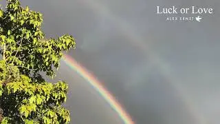 Luck or Love