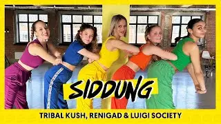 SIDDUNG - TRIBAL KUSH, RENIGAD & LUIGI SOCIETY | Dance Video | Choreography