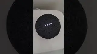 Google Home vs. Alexa: Who are the most popular Kpop Bands? 🎤🎶🪕🎸💿🎧