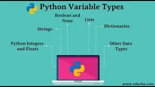 PYTHON  Variable  and Input