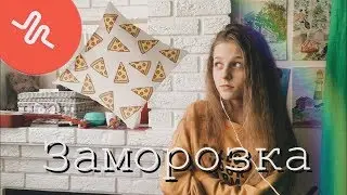 Freeze transition -  эффект заморозки в ТИК ТОК