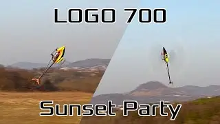 LOGO 700 | 1900RPM | Sunset Party
