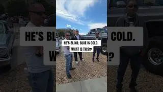 My blind husband has never seen color, what would THIS truck color be? 