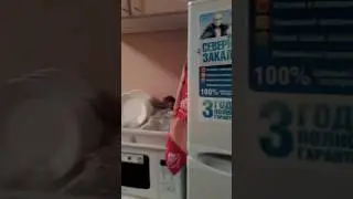 Кухня и обеденная зона. Гостевая квартира. Соболева 19.