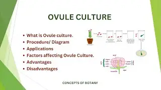 Ovule Culture| Procedure/ Diagram| Hindi/ Urdu| Concepts of Botany