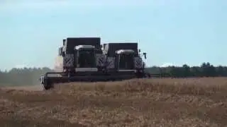Уборка овса . ACROS 580 и 560 .