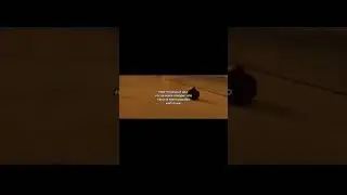 Воскрешаем канал мемчик #1