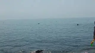 Крым. 2018 год.Июль. ТОК 