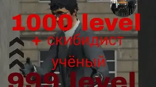 Дошёл до 1000 уровня в тойлет файт.