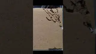 Sand ant farm v2.0 short version
