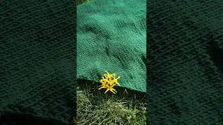 #рукоделие