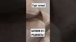 РЕДКОСТЬ 10 КОПЕЕК 1861 год ГУРТ ТОЧКИ БИТКИН R 1