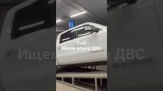 С права между поддоном и ДВС !!!Ram 3.0 Diesel номер Двигателя!