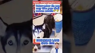 Galaw-galaw Din Kasi