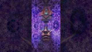 Inter-dimensional #dmtart #shamanic #psychedelicvisuals #psychedelicart #mysticalart