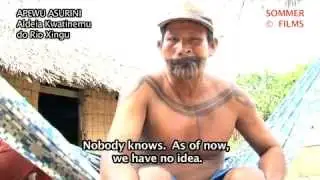 APEWU ASURINI sobre POVOS INDIGENAS ISOLADOS perto BELO MONTE !!!