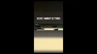 The SECRET Settings that give you Aimbot in Cold War