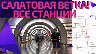 Салатовая ветка метро! От Селигерской до Зябликово #московскоеметро