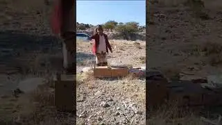 تدريب الحمام الزاجل من منطقة السواديه