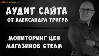 Аудит сайта. Мониторинг цен среди магазинов Steam. Анализ сайта на ошибки. Пример аудита сайта.
