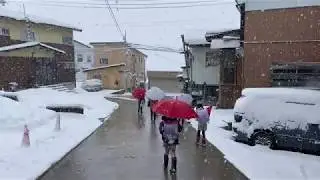 Snow Report Nozawa Onsen 27th Feb 2020