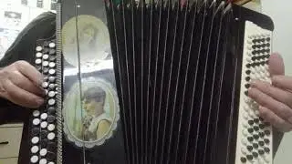Учат в школе ( баян кавер Тёрочка)