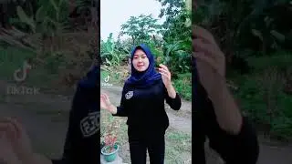 TIKTOK JILBAB SMA