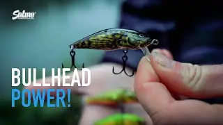 TINY but MIGHTY crankbait | The Salmo Bullhead is a brilliant perch catcher