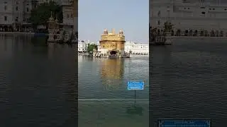 Shri Harmander Sahib Ji #gurudwara #gurbani #shorts #viral vedio @Mysimplegarden1