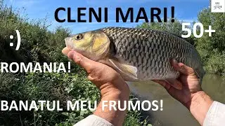 ☀️🎣 Cleanul cel Mare, într-o partidă excepțională de Spinning! Recordul ultimilor ani la clean!! 🎣☀️