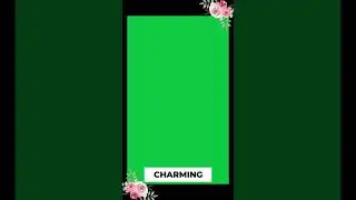 Instagram Story Template | Green Screen Template | Creative Works