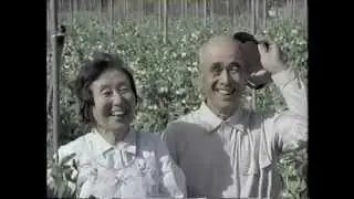 【CM】日本通運　ペリカン便【2002年】